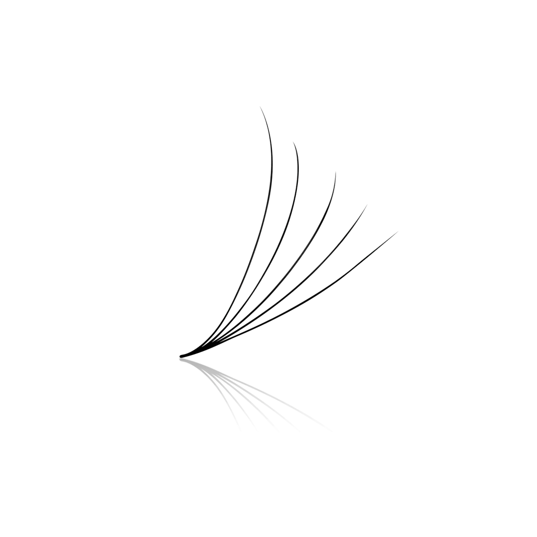 5D 0.07 Promade Fans (Box Of 500) 40% OFF UNTIL GONE