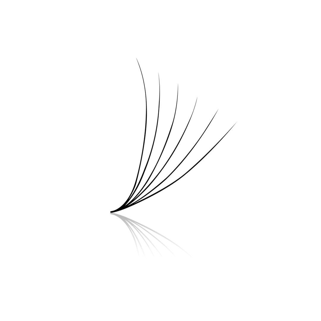 6D 0.07 Promade Fans (Box Of 500)