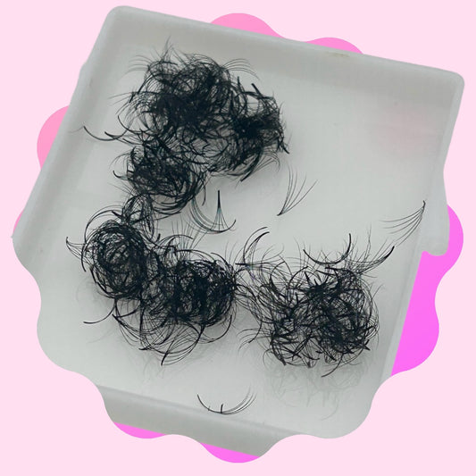 5D 0.07 Promade Fans (Box Of 500) 40% OFF UNTIL GONE