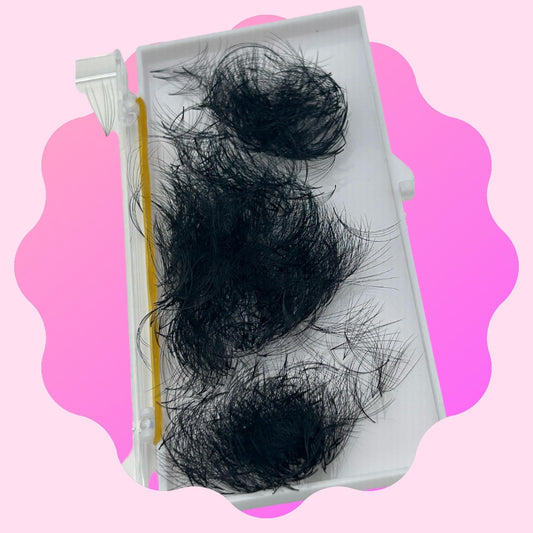 6D 0.07 Promade Fans (Box Of 500) 40% OFF UNTIL GONE