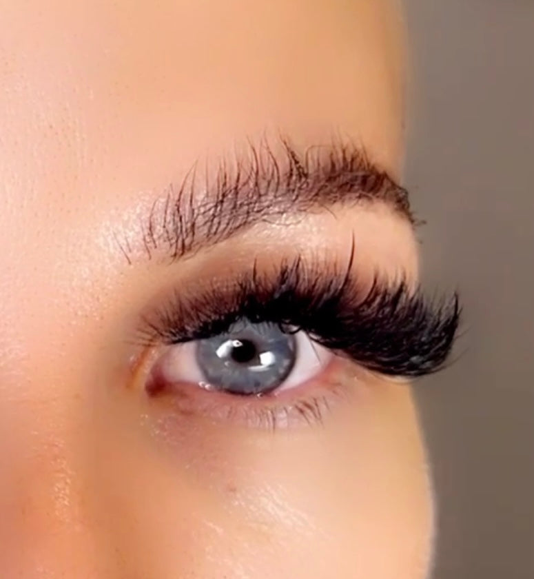 Royal Volume 0.03 Lash Trays