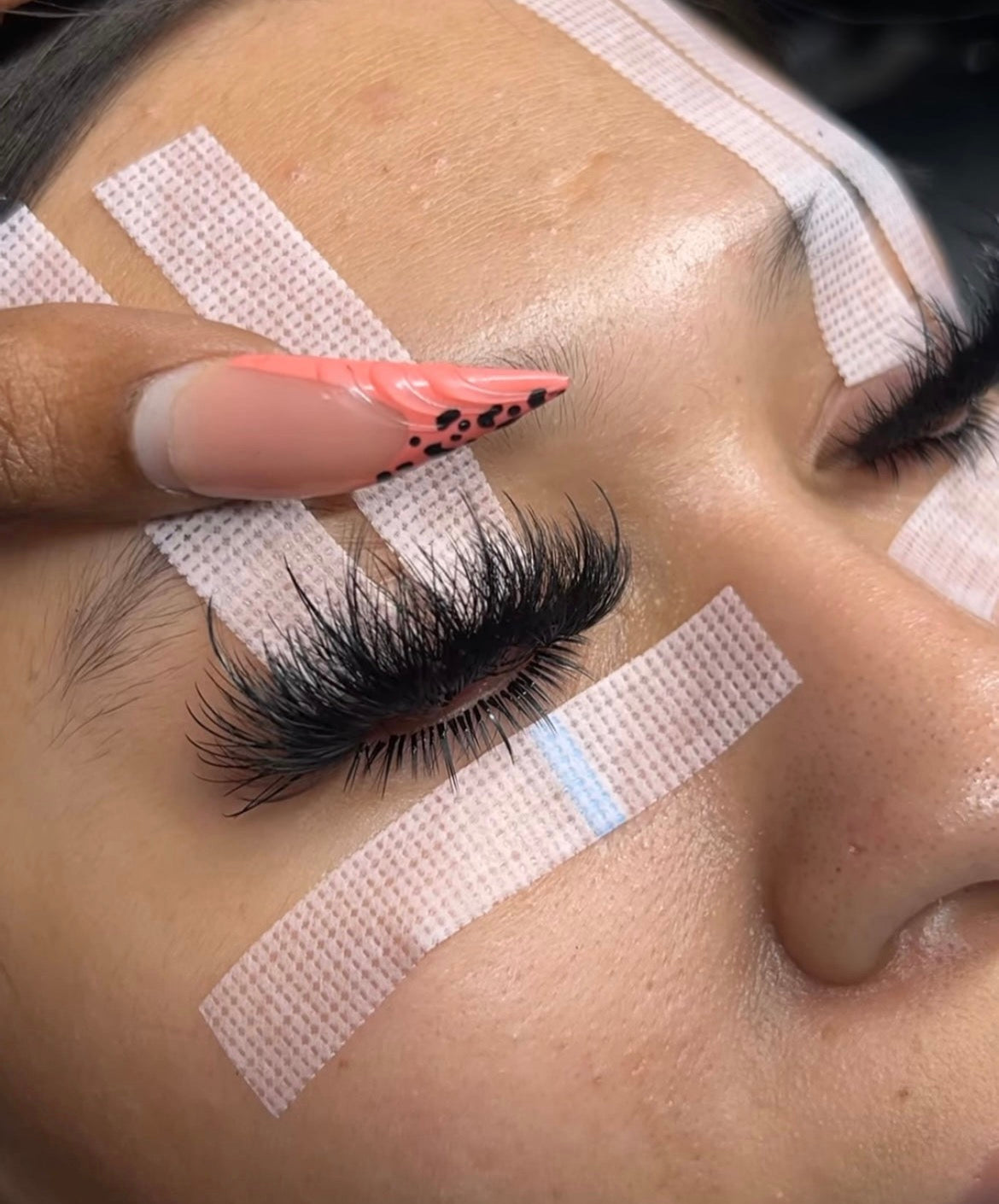 Royal Bottom Lash Extensions | Lower Lash Extension Trays