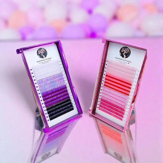 Candy Crushed Collective Trays π