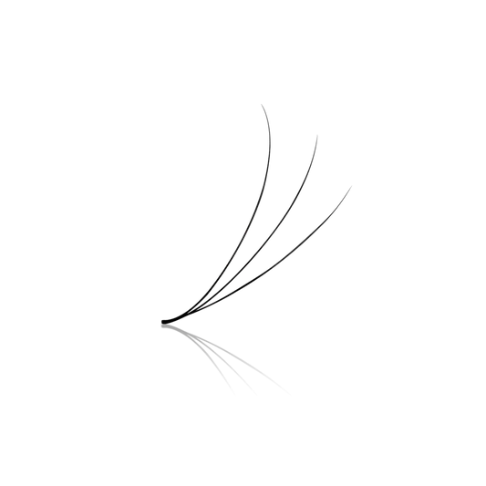 3D 0.07 Promade Fans (Box Of 500)