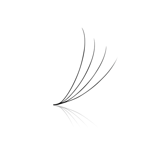 4D 0.07 Promade Fans (Box Of 500)