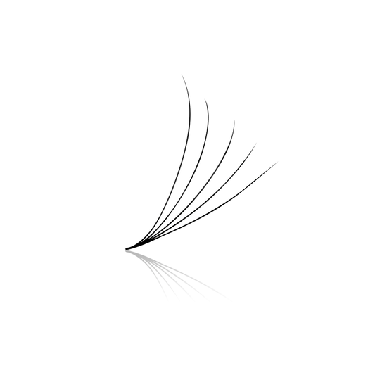 5D 0.07 Promade Fans (Box Of 500)