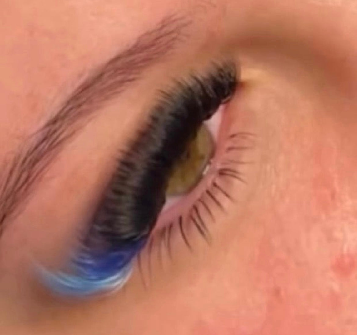 Candy Crushed Collective Color Lash Extensions | Colored Lash Trays 🍭